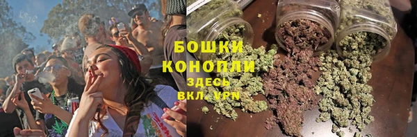 крисы Абдулино