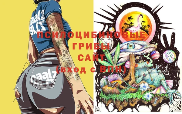 крисы Абдулино