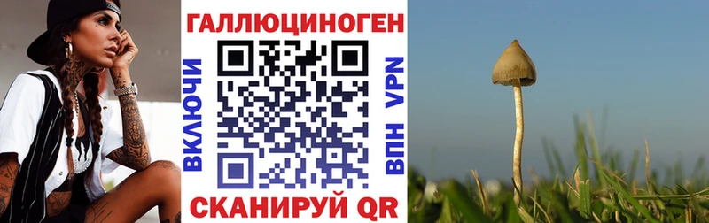 kraken сайт  Алдан  Галлюциногенные грибы мухоморы 